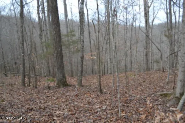 $349,900 | 6.49-ac Garrett Town Lane, Monroe, TN 38573