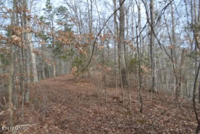 $349,900 | 6.49-ac Garrett Town Lane, Monroe, TN 38573