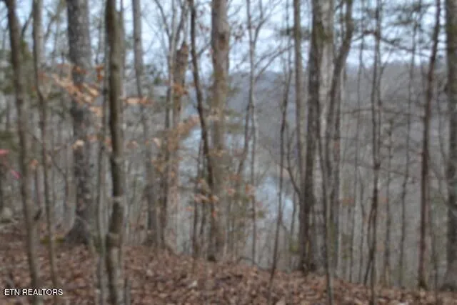 $349,900 | 6.49-ac Garrett Town Lane, Monroe, TN 38573