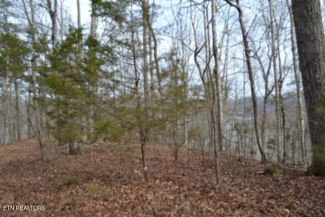 $349,900 | 6.49-ac Garrett Town Lane, Monroe, TN 38573