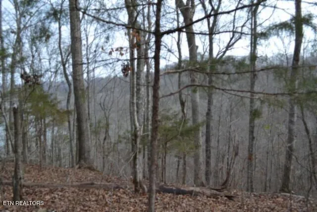 $349,900 | 6.49-ac Garrett Town Lane, Monroe, TN 38573