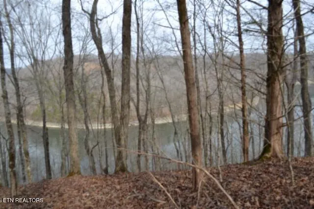 $349,900 | 6.49-ac Garrett Town Lane, Monroe, TN 38573