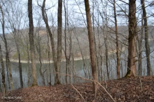 $349,900 | 6.49-ac Garrett Town Lane, Monroe, TN 38573