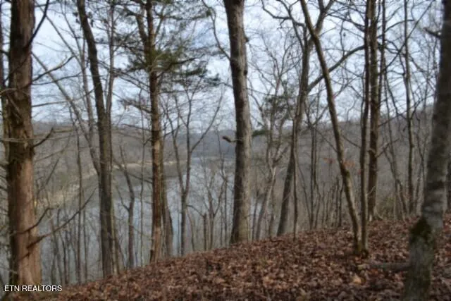 $349,900 | 6.49-ac Garrett Town Lane, Monroe, TN 38573