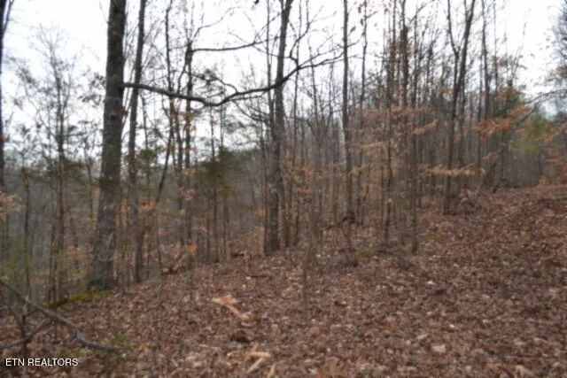 $349,900 | 6.49-ac Garrett Town Lane, Monroe, TN 38573