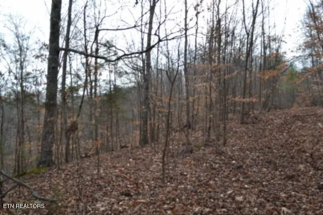 $349,900 | 6.49-ac Garrett Town Lane, Monroe, TN 38573
