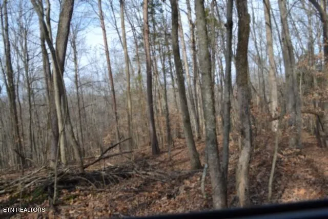 $349,900 | 6.49-ac Garrett Town Lane, Monroe, TN 38573