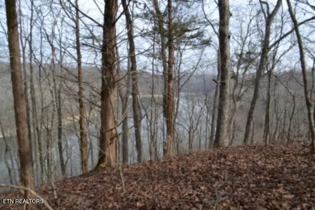 $349,900 | 6.49-ac Garrett Town Lane, Monroe, TN 38573