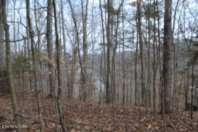 $349,900 | 6.49-ac Garrett Town Lane, Monroe, TN 38573