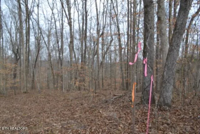 $349,900 | 6.49-ac Garrett Town Lane, Monroe, TN 38573