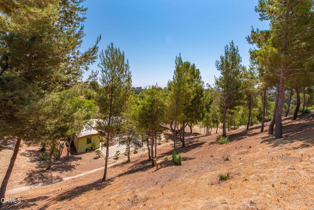 8450 Waters Road Moorpark, CA 93021 - Photo 17 of 38