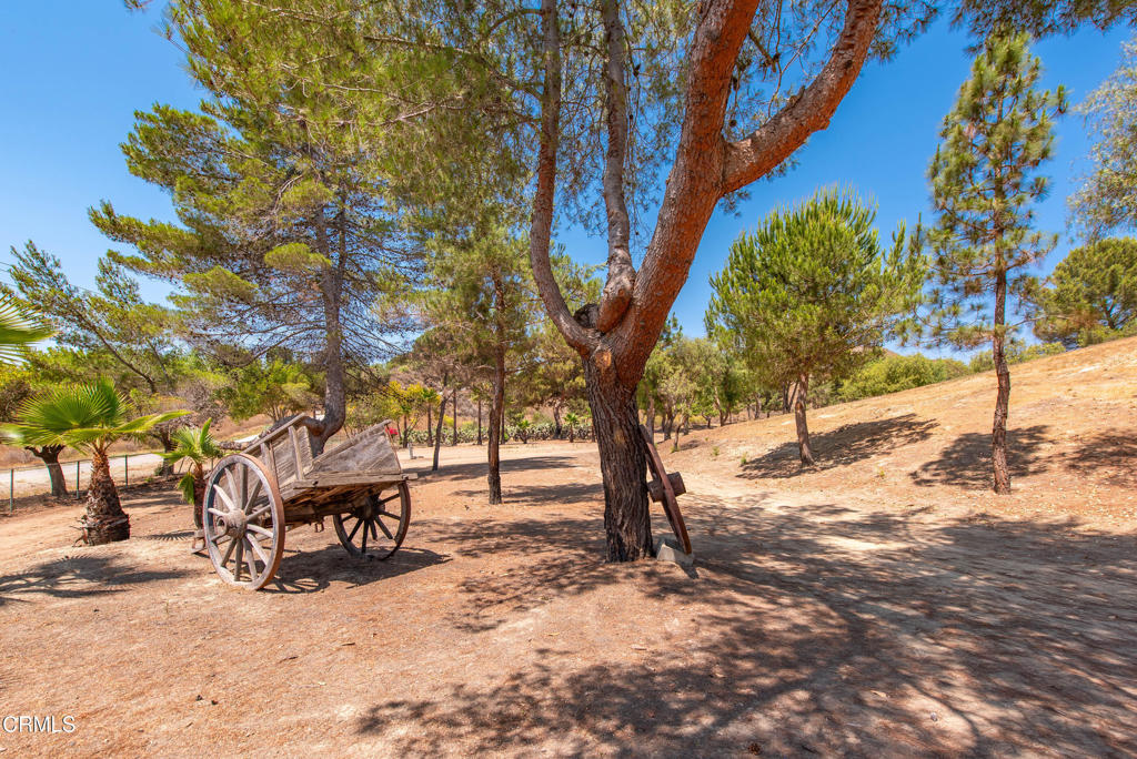 8450 Waters Road Moorpark, CA 93021 - Photo 8 of 38