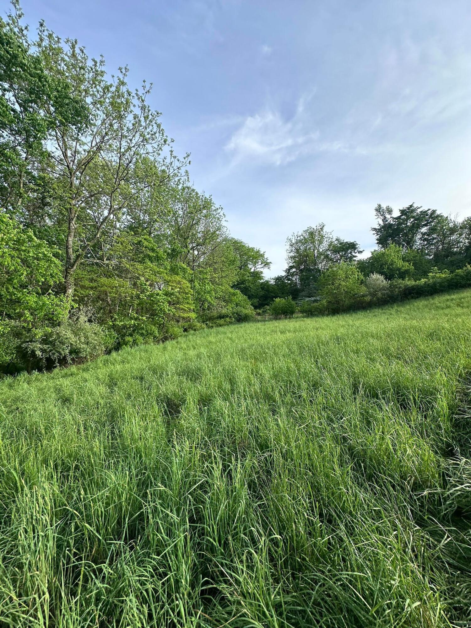 5159 Barr Road McConnelsville, OH 43756 - Photo 15 of 80 Field