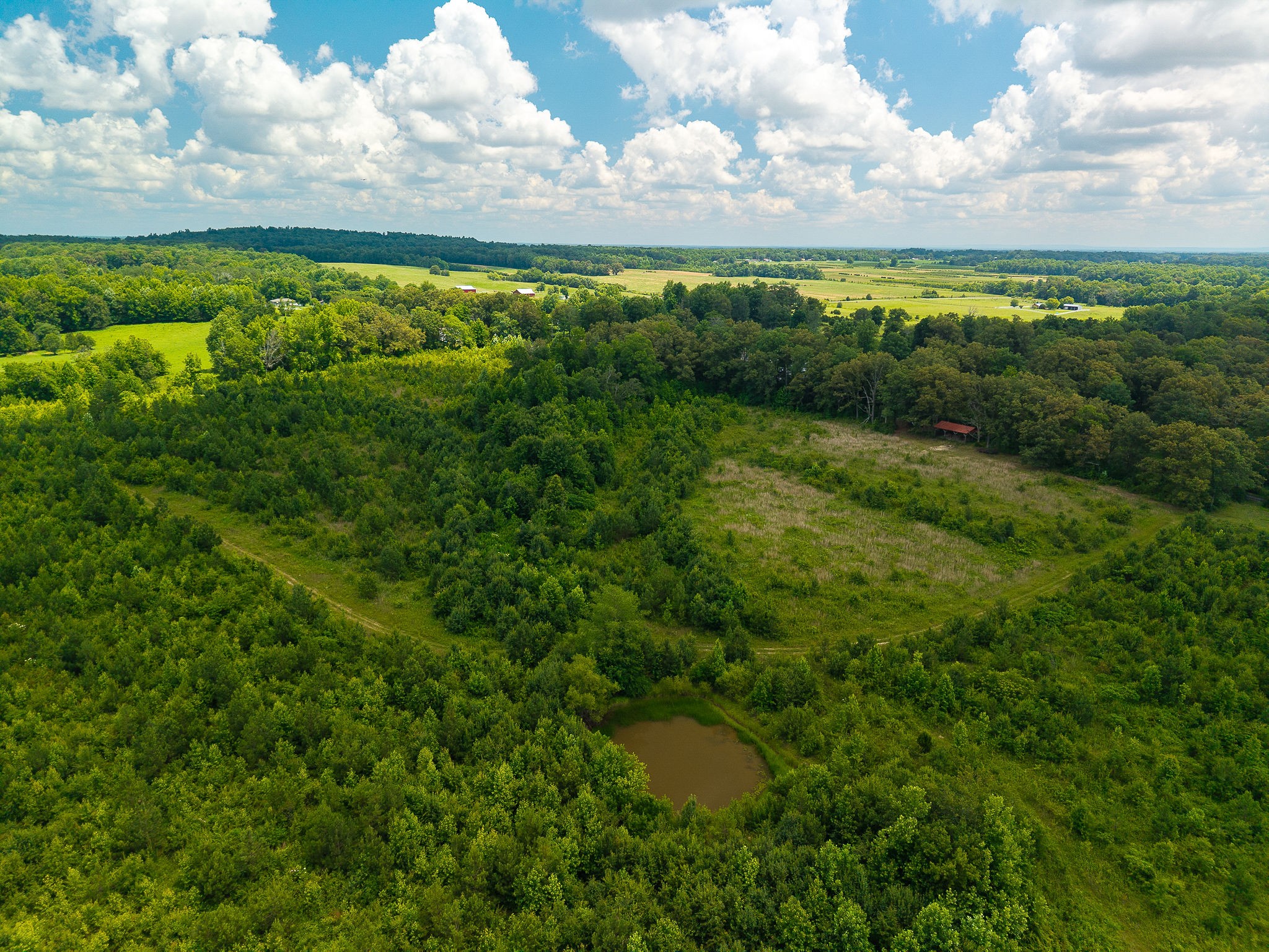0 Gunter Road McMinnville, TN 37110 - Photo 19 of 24