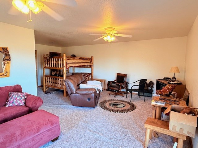 745 Buck Ridge Drive Murphy, NC 28906 - Photo 24 of 54