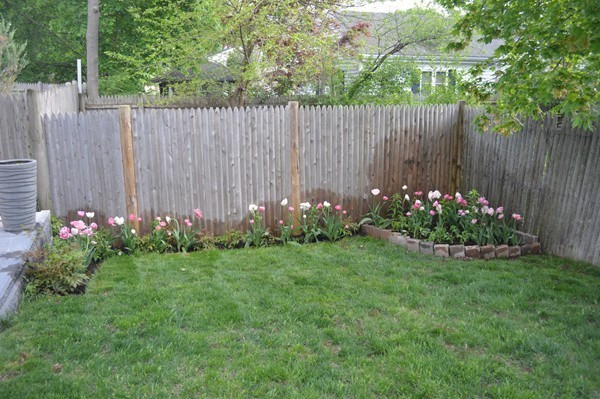 14 Union Street, Unit 14 Needham, MA 02494 - Photo 22 of 22 Gallery Image 22