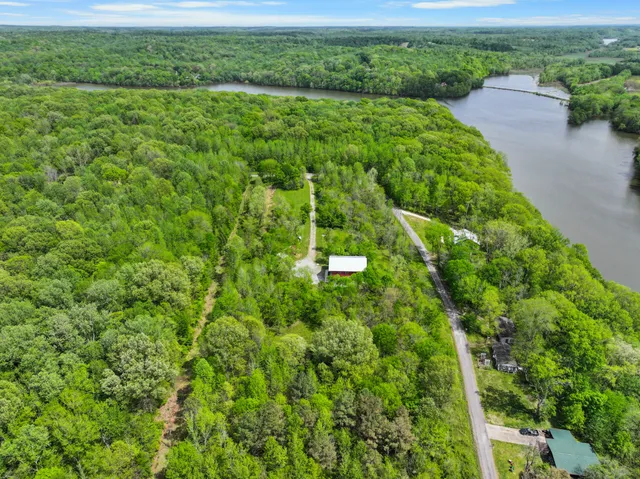 a view of a lush green space