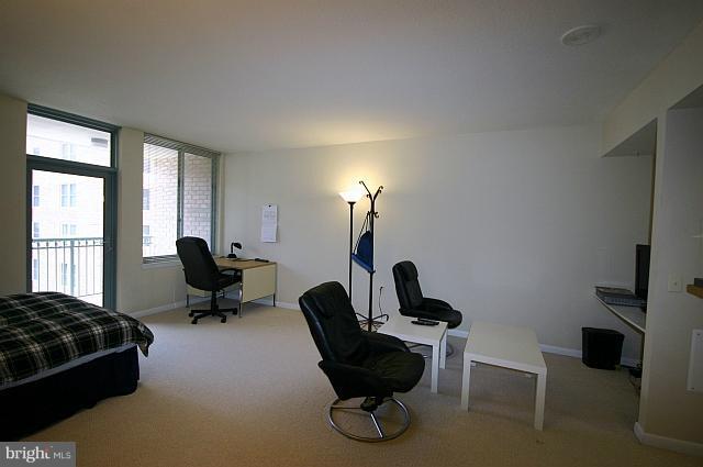 851 North Glebe Road, Unit 810 Arlington, VA 22203 - Photo 15 of 28 a living room with furniture a potted plant and a fireplace