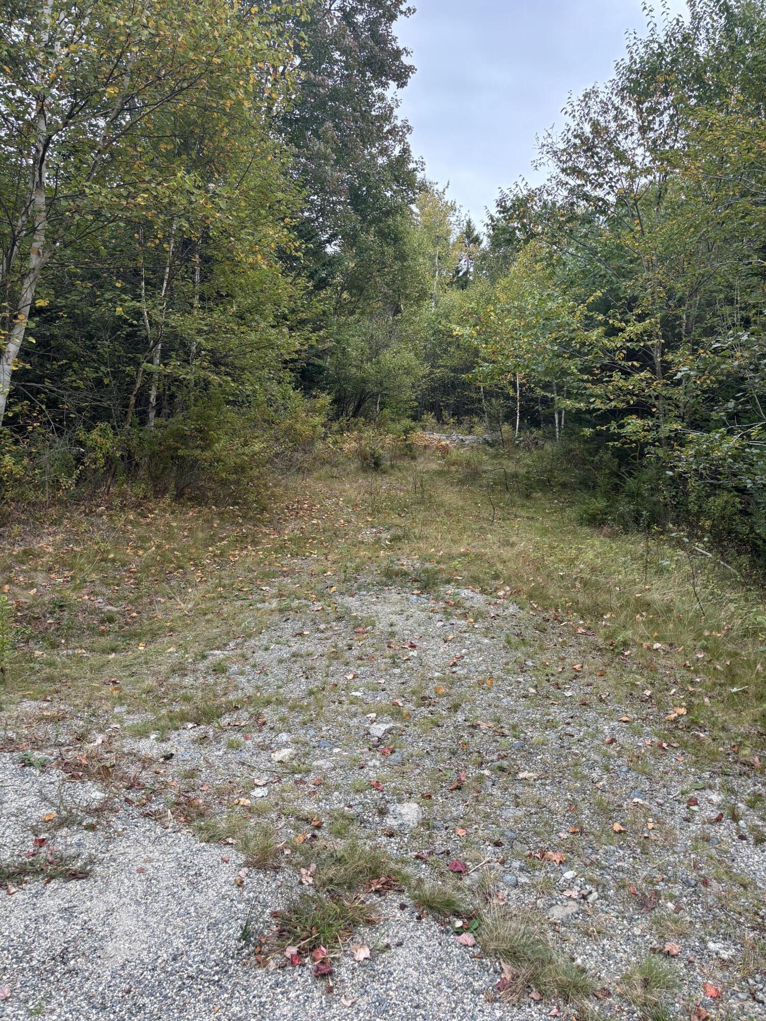 M20-l2 East Side Road Addison, ME 04606 - Photo 10 of 15