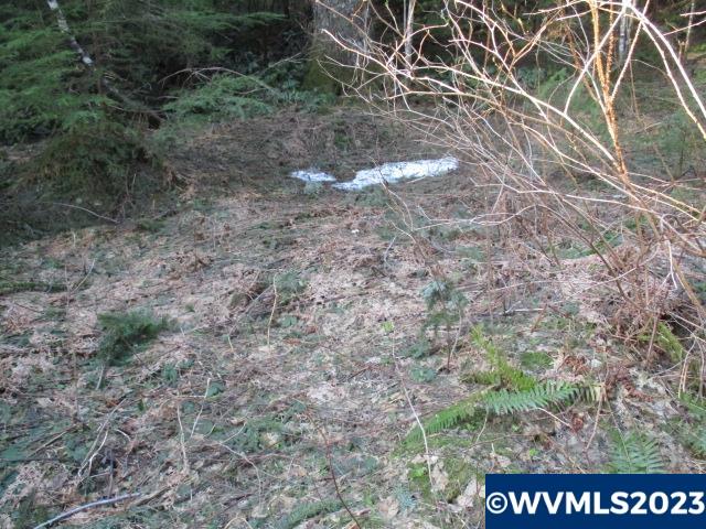 0 Southeast Harvey Road Sandy, OR 97055 - Photo 5 of 11