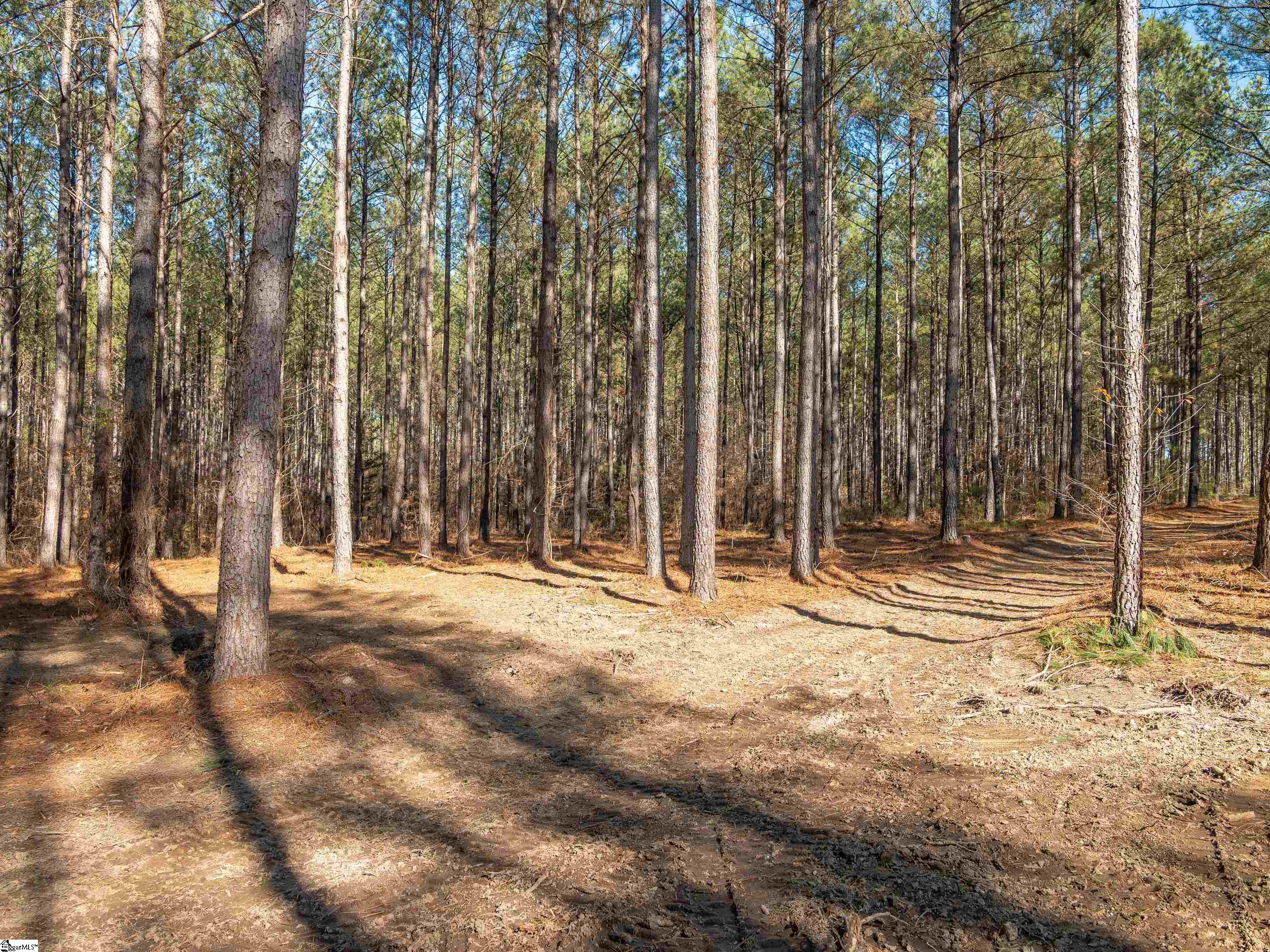 2 Mill Pine Road Liberty, SC 29657 - Photo 12 of 21 Gallery Image 12