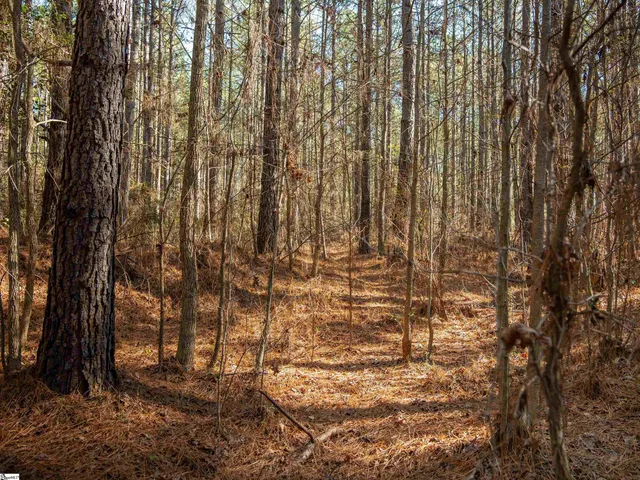 $199,999 | 2 Mill Pine Road, Liberty, SC 29657