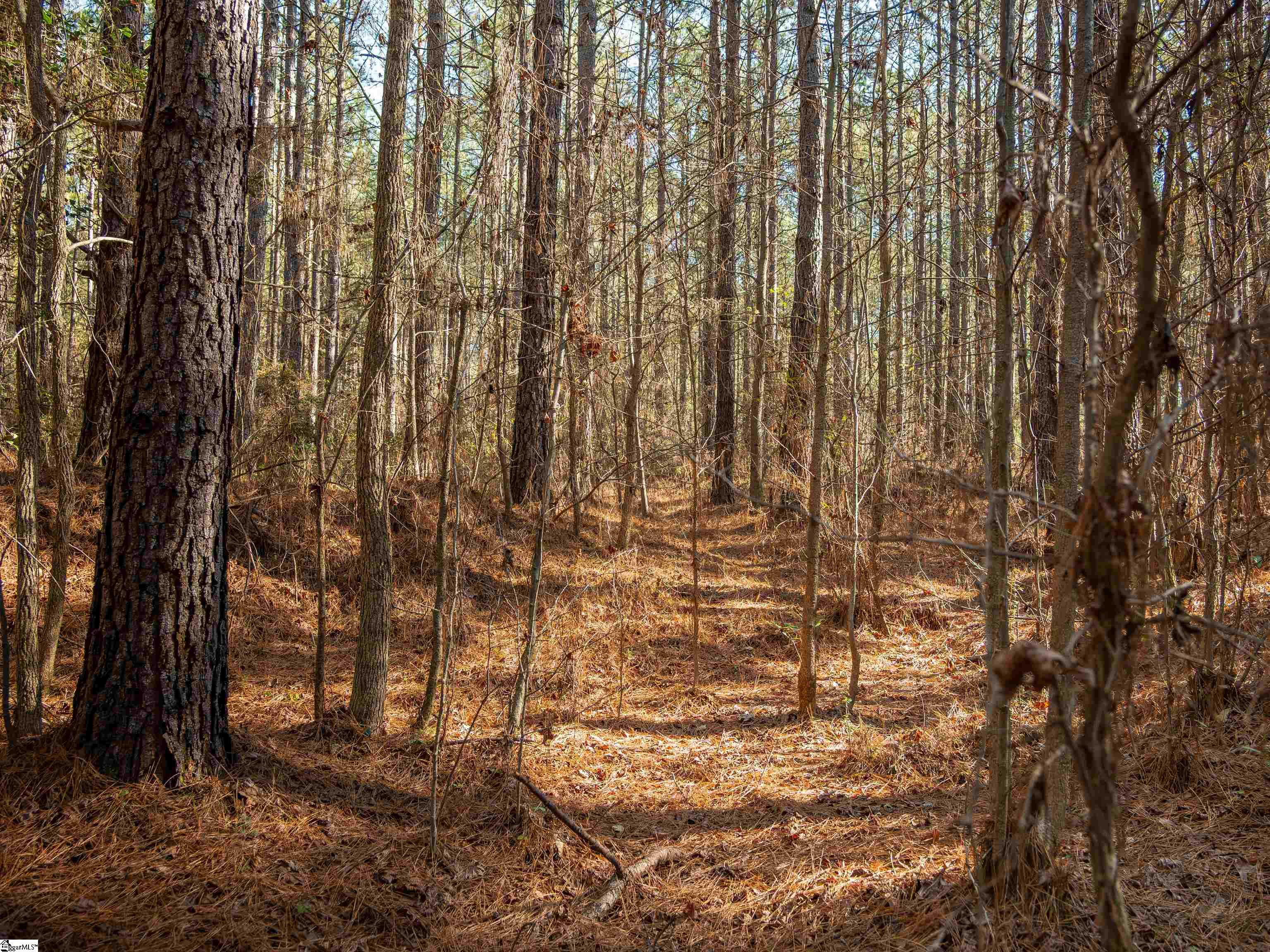 2 Mill Pine Road Liberty, SC 29657 - Photo 13 of 21 Gallery Image 13