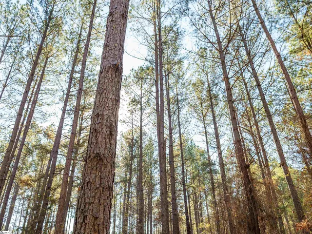 $199,999 | 2 Mill Pine Road, Liberty, SC 29657