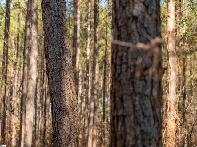 $199,999 | 2 Mill Pine Road, Liberty, SC 29657