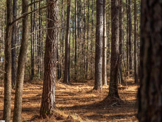 $199,999 | 2 Mill Pine Road, Liberty, SC 29657