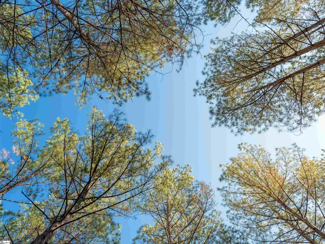 $199,999 | 2 Mill Pine Road, Liberty, SC 29657