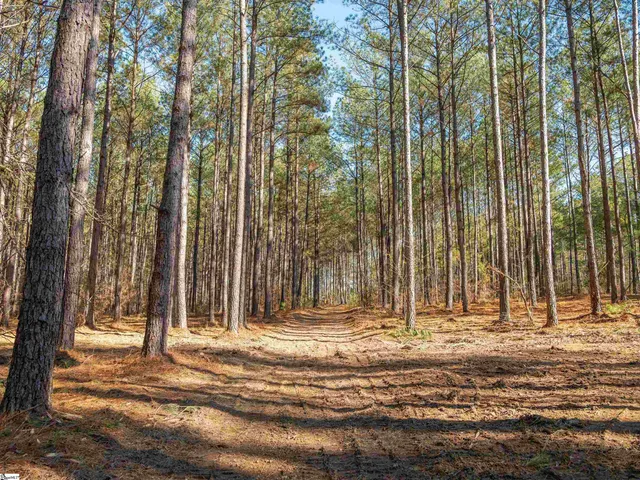 $199,999 | 2 Mill Pine Road, Liberty, SC 29657