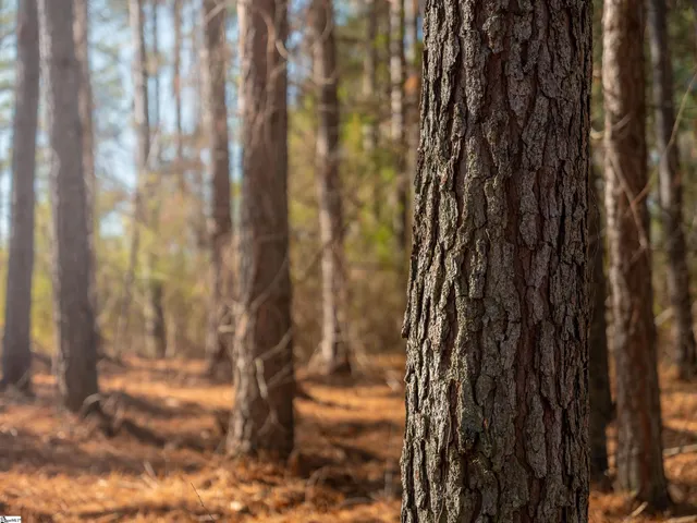 $199,999 | 2 Mill Pine Road, Liberty, SC 29657