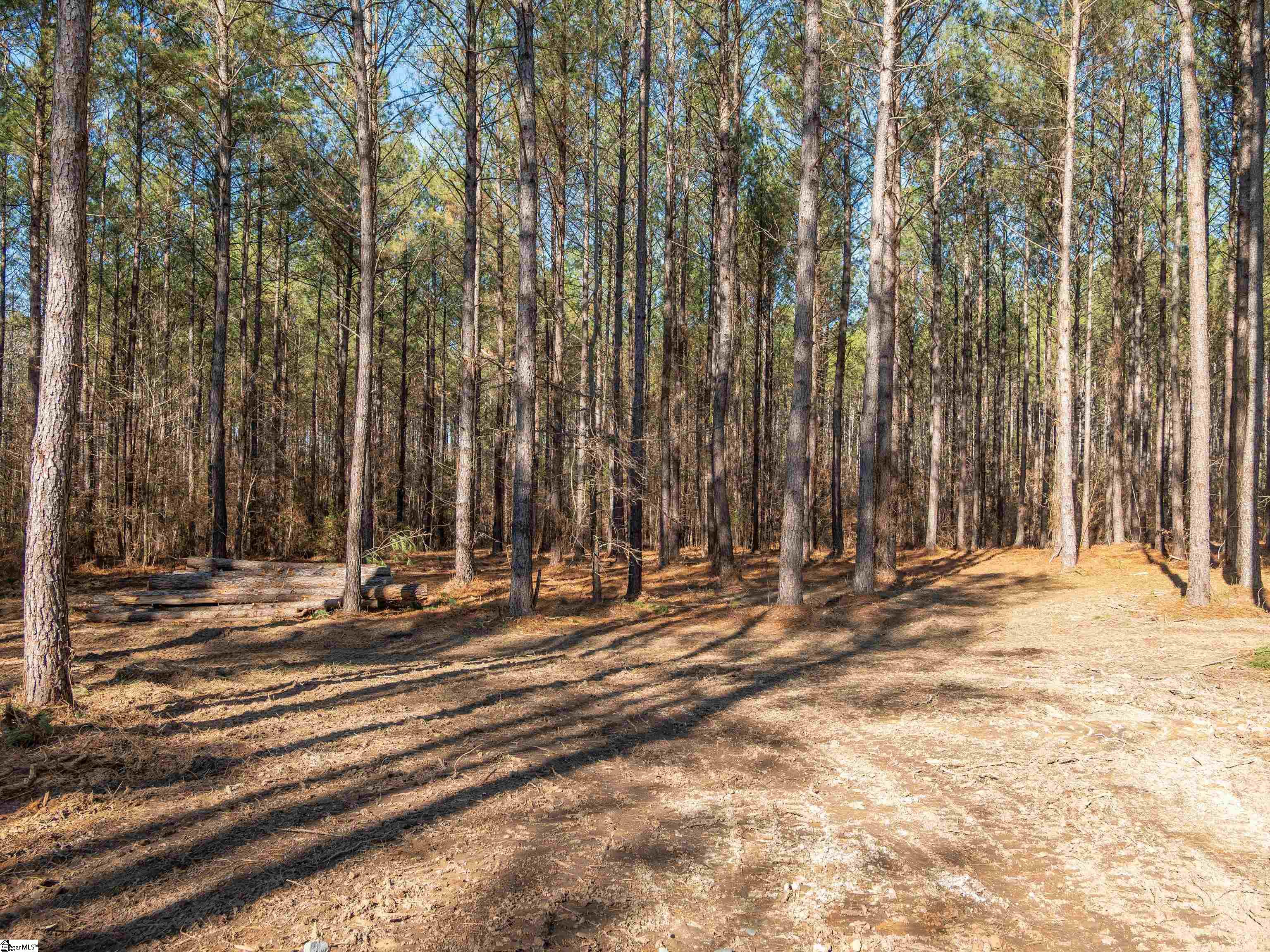 2 Mill Pine Road Liberty, SC 29657 - Photo 7 of 21 Gallery Image 7