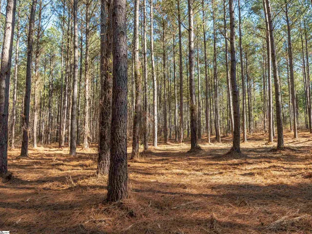 $199,999 | 2 Mill Pine Road, Liberty, SC 29657