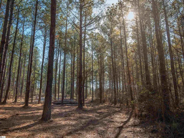 $199,999 | 2 Mill Pine Road, Liberty, SC 29657