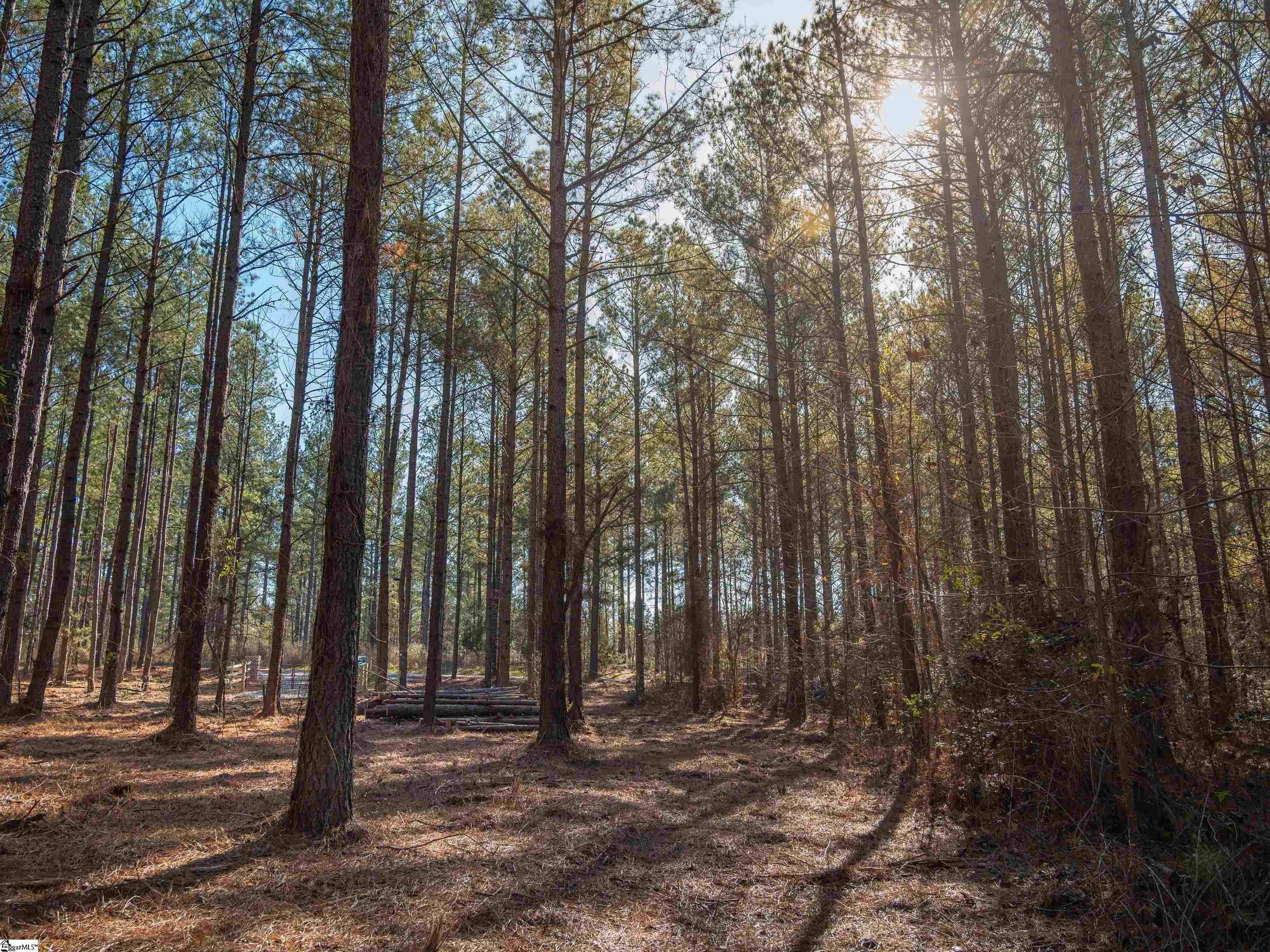 2 Mill Pine Road Liberty, SC 29657 - Photo 9 of 21 Gallery Image 9