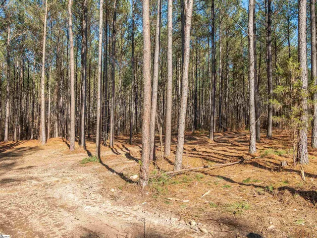 $199,999 | 2 Mill Pine Road, Liberty, SC 29657