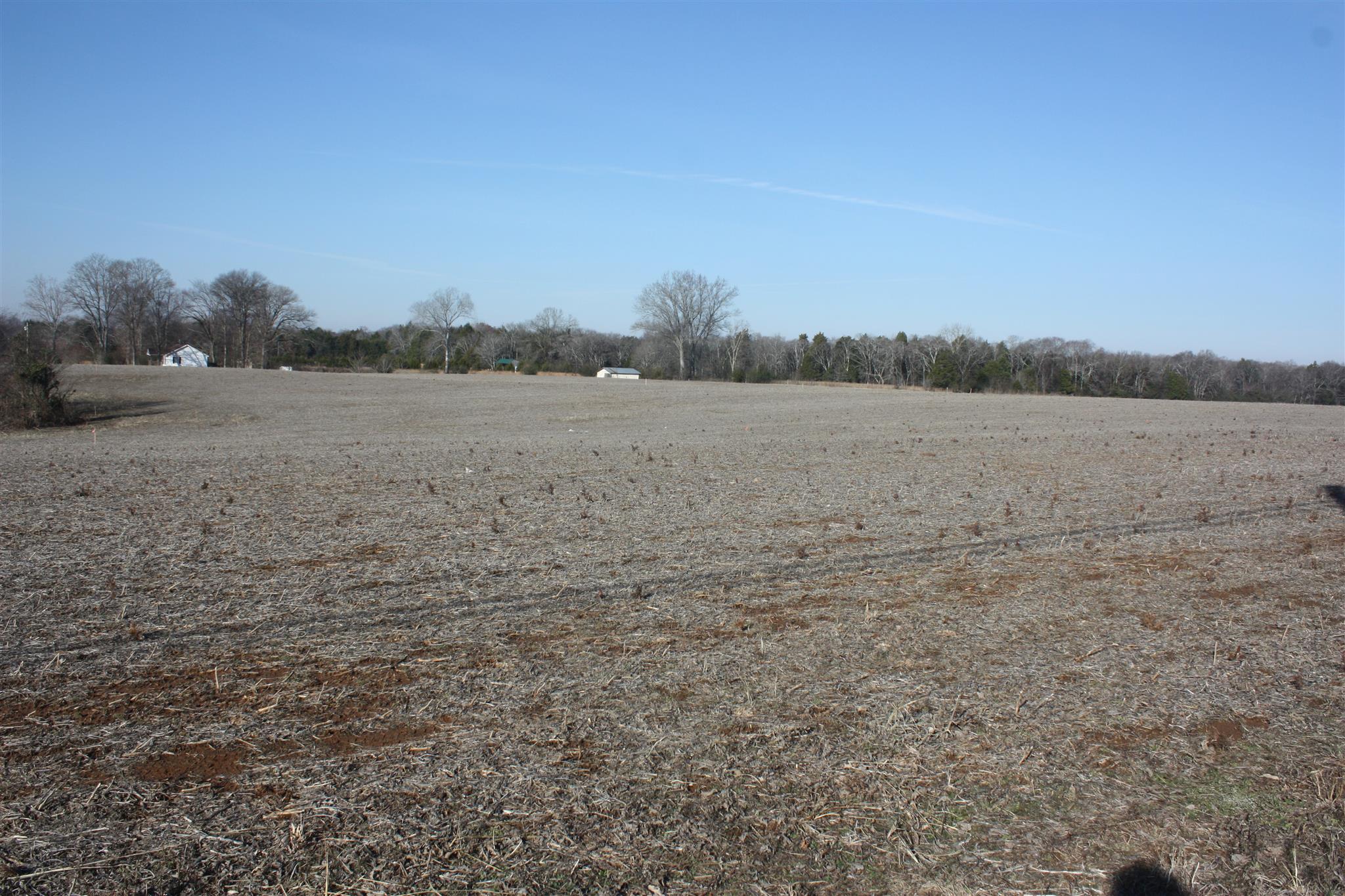 5 Lunns Store Road Lewisburg, TN 37091 - Photo 3 of 16 Gallery Image 3