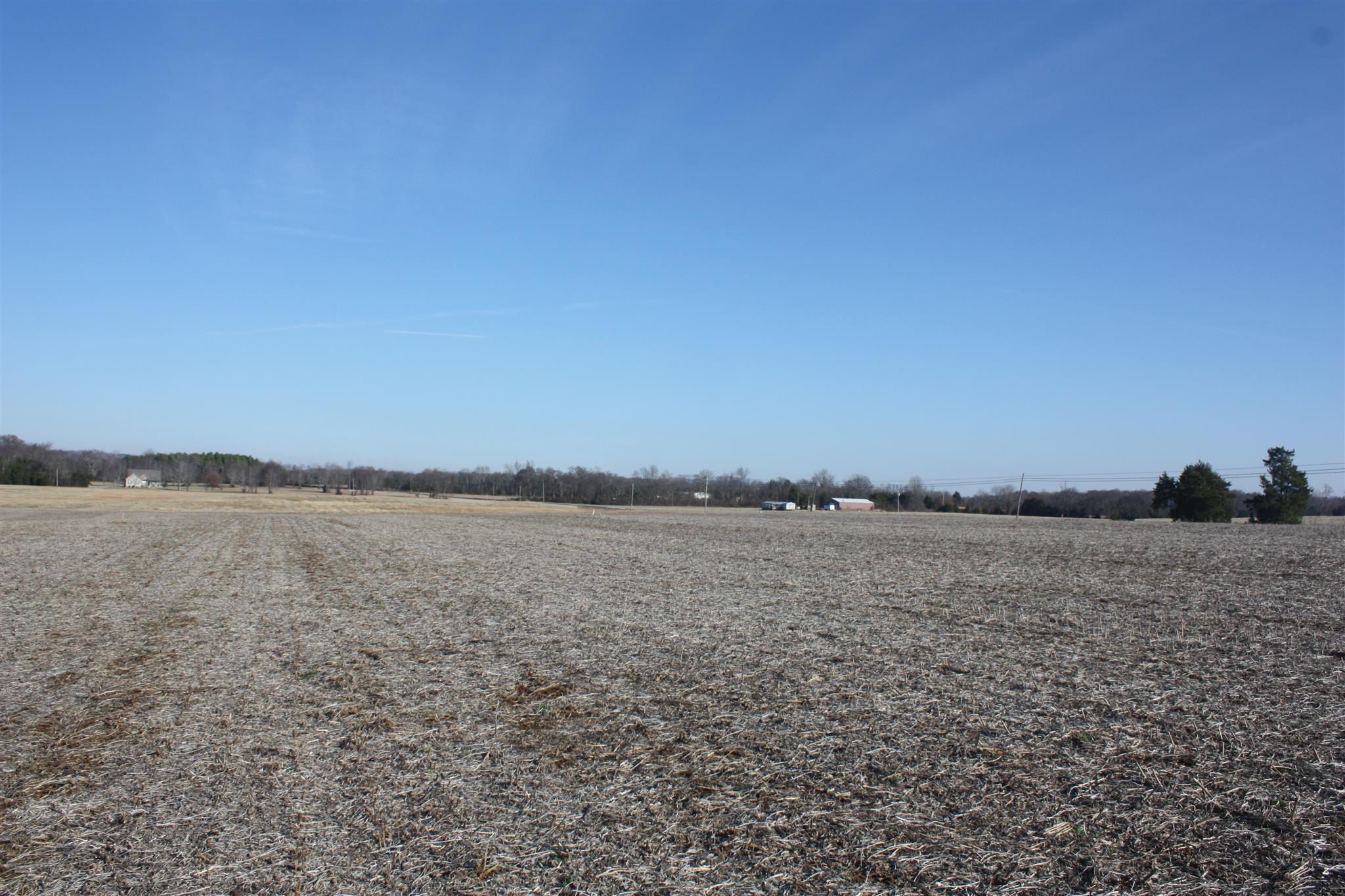 5 Lunns Store Road Lewisburg, TN 37091 - Photo 7 of 16 Gallery Image 7