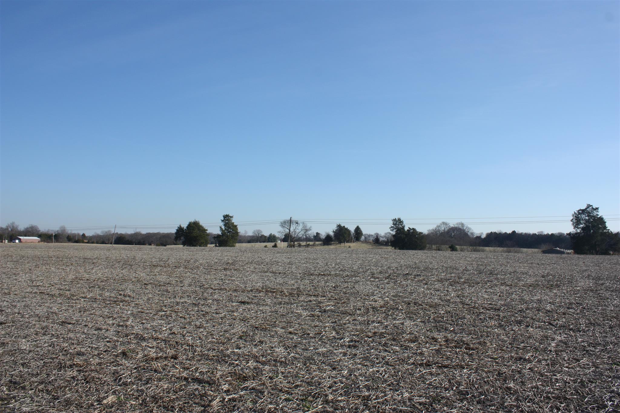 5 Lunns Store Road Lewisburg, TN 37091 - Photo 8 of 16 Gallery Image 8