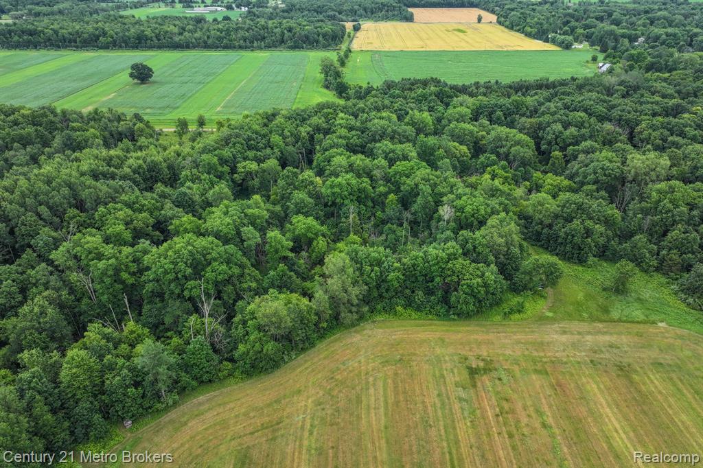 1585 South Phillips Road Deford, MI 48729 - Photo 42 of 76
