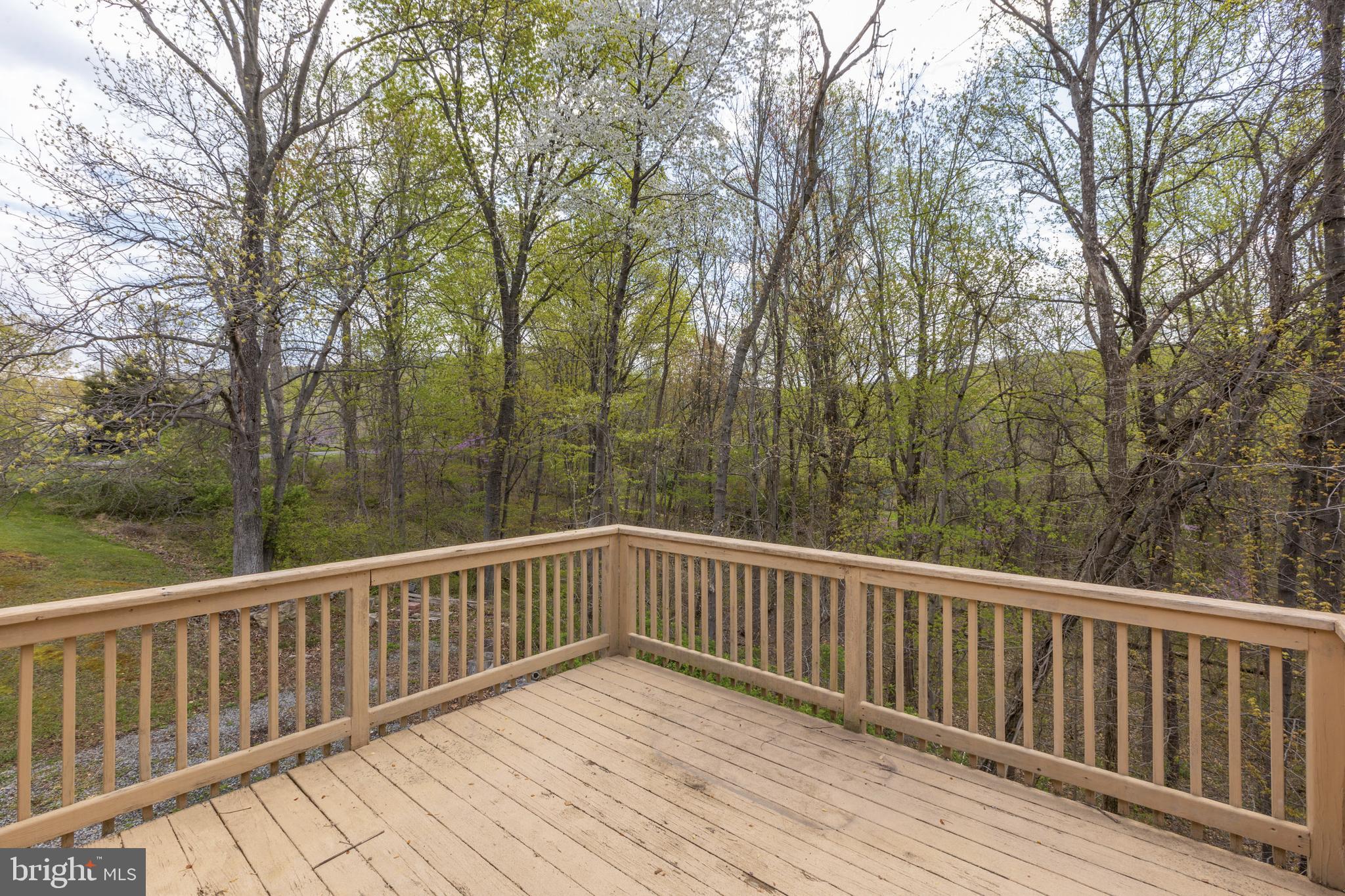 2363 Morgans Mill Road Bluemont, VA 20135 - Photo 39 of 54 Gallery Image 39