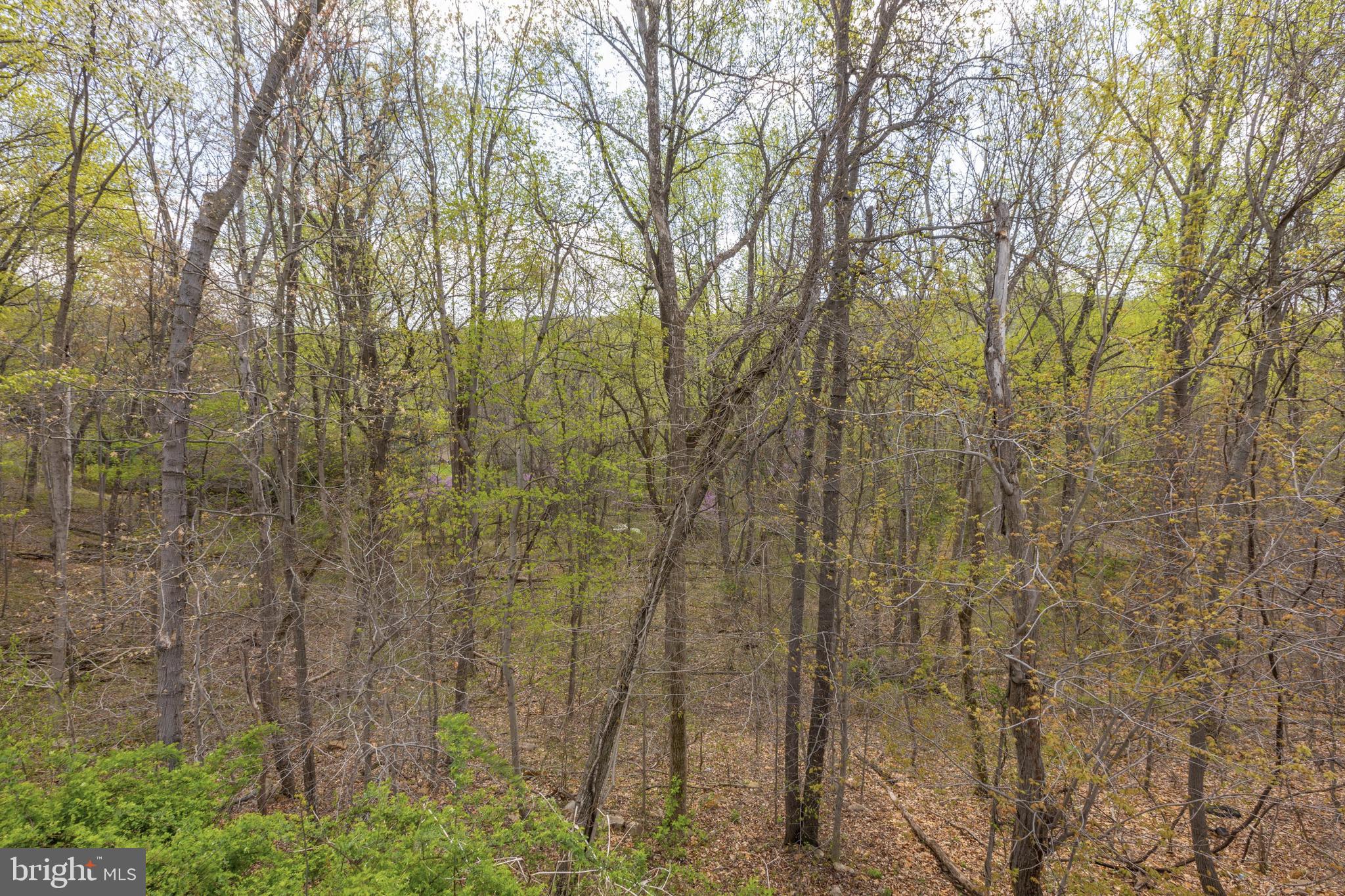 2363 Morgans Mill Road Bluemont, VA 20135 - Photo 41 of 54 Gallery Image 41