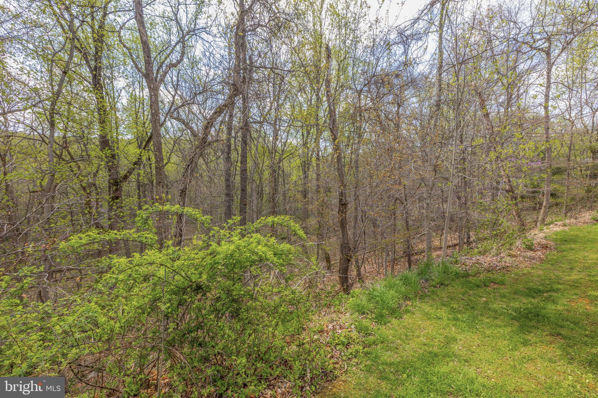 2363 Morgans Mill Road Bluemont, VA 20135 - Photo 43 of 54 Gallery Image 43