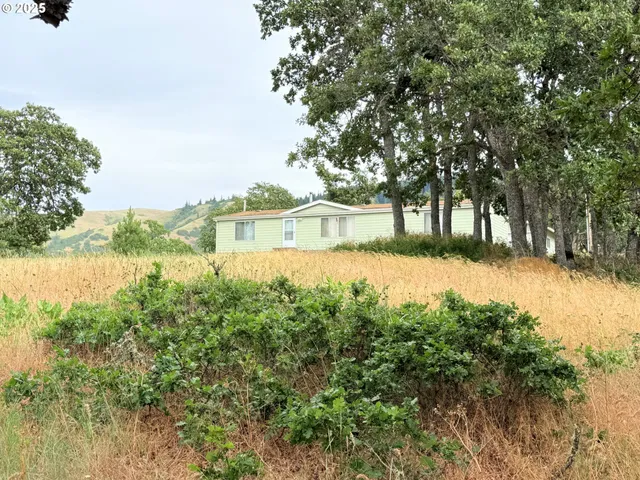 a view of yard with green space and fog