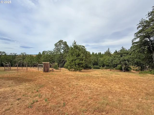 a view of ocean with trees
