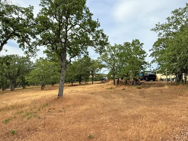 a view of empty space with trees
