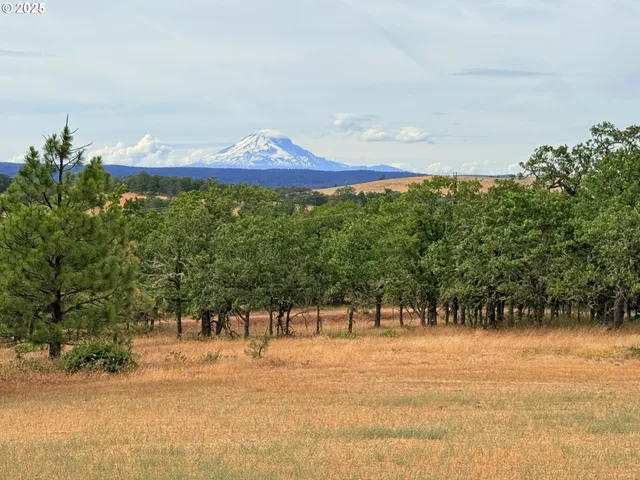 a view of outdoor space and yard
