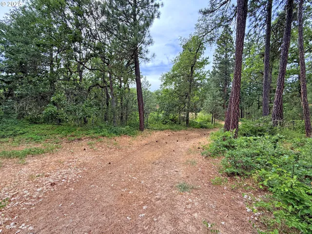 a view of a out door space